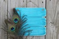 Antique blue sign with peacock feathers