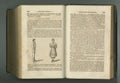 Antique book, page and ancient knowledge for learning study, medical research or vintage story. Language, history