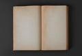 antique book two page spread of old blank speckled paper design element with copy space