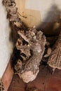Antique Broken Naga Sculpture in Pha That Luang at Vientiane, Laos