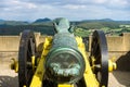 Antique bronze cannon