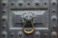 Antique bronze door knocking knob ring in the form of a lion`s face Royalty Free Stock Photo