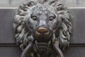 Antique bronze door knocking knob ring in the form of a lion`s face Royalty Free Stock Photo