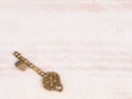 Antique bronze key on light brown wooden background Royalty Free Stock Photo