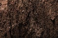 Antique brown obsolete wooden texture