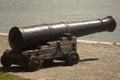 Antique cannon