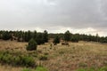 Antique Car and partial log cabin in Linden, Navajo County, Arizona, United States