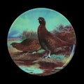 Antique ceramic plate with the image of birds.