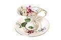 Antique China tea cup and saucer with leaves and delicate flowers