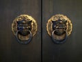 Antique Chinese doors.