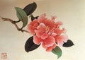 Antique Chinese Fan Painting Camellia Floral Flowers Flower Blossom Bird Brush Paintings Watercolor Prints