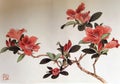Antique Chinese Painting Indian Azalea Rhododendron simsii Planch Flowers Flower Blossom Floral Bird Brush Paintings Watercolor