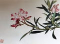 Antique Chinese Painting Nerium Oleander Flowers Flowers Flower Blossom Floral Bird Brush Paintings Watercolor Sign Seal Signature Royalty Free Stock Photo