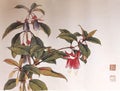 Antique Chinese Painting Hanging Frigate Flowers Flower Blossom Floral Bird Brush Paintings Watercolor Nature Plants Prints