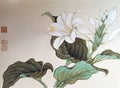 Antique Chinese Painting Hosta Plantaginea Aschers Flowers Flowers Flower Blossom Floral Bird Brush Paintings Watercolor