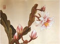 Antique Chinese Painting Nopalxochia Ackermanni Kunth Flowering Blossom Floral Brush Paintings Watercolor Nature Plants Prints Royalty Free Stock Photo