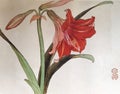 Antique Chinese Painting Red Saffron Flowers Flower Blossom Floral Bird Brush Paintings Watercolor Nature Plants Prints