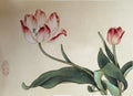 Antique Chinese Painting Tulips Flowers Flowers Flower Blossom Floral Bird Brush Paintings Watercolor Sign Seal Signature Chop