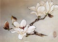 Antique Chinese Painting White Jade Orchid Orchids Flowers Flowers Flower Blossom Floral Bird Brush Paintings Watercolor Royalty Free Stock Photo