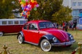 Antique classic Volkswagen Beetle Bugs on display Royalty Free Stock Photo