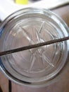 Antique Clear Canning Jar with Metal Bale
