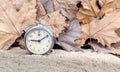 Antique clock in scenery with maple leaves