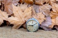 Antique clock in scenery with maple leaves