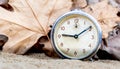 Antique clock in scenery with maple leaves