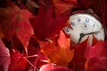 Antique Clock Surrounded with Bright Red Maple Leaves Royalty Free Stock Photo