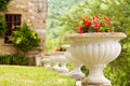 Antique concrete pot with red begonias