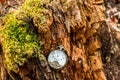 Antique decayed pocket watch in nature