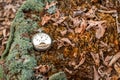 Antique decayed pocket watch in nature