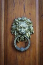 Antique decorative handle knocker on wooden vintage house door. Classical metal bronze lion head