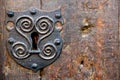 Antique door Royalty Free Stock Photo