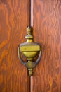 Antique Door with Brass Knocker