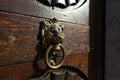 Antique door with a door knocker in the form of a lion`s head holding a ring in its teeth. Architecture of old Europe, details Royalty Free Stock Photo