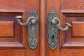 Antique door handle doorknob vintage wood decoration