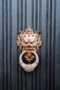 Antique door handle in the form of a demonic image with a ring in the mouth in gilding Royalty Free Stock Photo
