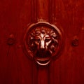 Antique door handle, lion head . Dark red Royalty Free Stock Photo