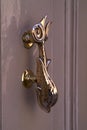 Gold-plated door handle in the form of a fairy fish Royalty Free Stock Photo