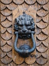 Antique door knocker shaped lion`s head Royalty Free Stock Photo