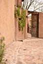 Antique door among nature Royalty Free Stock Photo