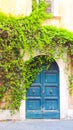 Antique door with tree climbing on Royalty Free Stock Photo