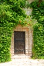 Antique Door and Vines