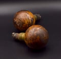 Antique Doorknobs on a Black Background