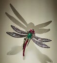 1953 Antique Dragonfly Clip Brooch Cartier Diamonds Emeralds Rubies Jewelry Pin Art Nouveau Nature Organic Insect Accessory Design