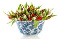 Antique Dutch Bowl With Tulips