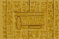 Antique Egyptian papyrus and hieroglyph background