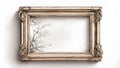 antique empty picture frame Royalty Free Stock Photo