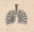 Antique engraved illustration of a mammalian respiratory system. Vintage illustration of a mammalian respiratory system Royalty Free Stock Photo